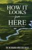 How It Looks from Here: Poetry from the Plains: 2019 (Nebraska Writers Guild Poetry Chapbook)