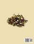 Under the Mistletoe (RW Classics Edition Illustrated)