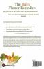 The Bach Flower Remedies: Crossword Puzzle Book