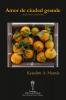 Amor De Ciudad Grande (Segunda Edición) (Spanish Edition)