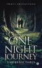 One Night Journey : Unpredictable