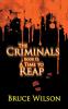 The Criminals - Book II