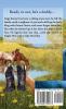 A Cowboy's Baby: 11 (McGavin Brothers)