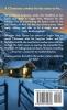 A Cowboy's Homecoming: 17 (McGavin Brothers)