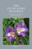 The Living Light Dialogue Volume 18