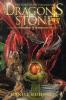 The Dragon's Stone: 1 (Dark Heart Chronicles)