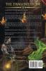 The Dragon's Stone: 1 (Dark Heart Chronicles)