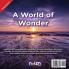 A World of Wonder: A Child's Interactive Book of Wonder