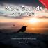 More Sounds of the Night: A Child's Interactive Book of Fun & Learning