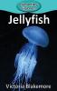 Jellyfish: 28 (Elementary Explorers)