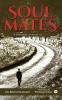 Soulmates : A Panoramic Journey of LIFE