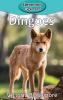 Dingoes: 74 (Elementary Explorers)