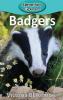 Badgers: 82 (Elementary Explorers)