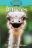 Ostriches: 91 (Elementary Explorers)