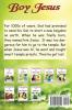 Boy Jesus: 6 (Child's Bible Kids)