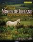 Magical Irish Countryside: Mystical Moods of Ireland Vol. III: 3