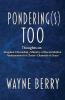 Pondering(s) Too: Thoughts on Kingdom Citizenship - Ministry of Reconciliation - Ambassadors for Christ - Channels of Grace: 2