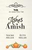Ashes to Amish: A Plain Fairy Tale: 1 (Plain Fairy Tales)