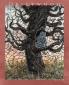 Driftwood Press 7.2