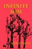 Infinite Sum: 2 (Mathemafiction)