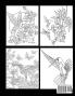 Hummingbird Coloring Book