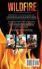 Wildfire: 3 (Men of Inked: Heatwave)