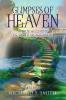 Glimpses of Heaven II