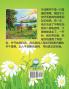 海龟牛油果: 唯一和独一无二的 (Avocado the Turtle - Simplified Chinese Edition)