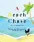 A Beach Chase: An A - Z Alphabet book