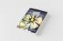 A Dictionary of Flowers and Gems