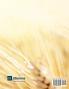 Evanghelizarea (Evangelism) | 9Marks Romanian Journal (9Semne)