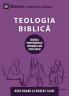 Biblical Theology / Teologia Biblic?