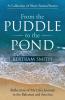 From the Puddle to the Pond