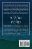 From the Puddle to the Pond