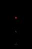 Belvidere. Softcover Installment V Non-Illustrated: Installment V of VIII: 1