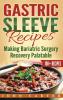 Gastric Sleeve Recipes: Making Bariatric Surgery Recovery Palatable: 3