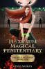 Maximum Magical Penitentiary: Falsely Accused: 1 (The Inmate of the Dreki Dragons)