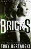 Bricks: A Technothriller: 3 (Halfskin)