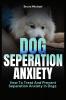 Dog Separation Anxiety