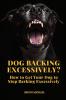 Dog Barking Excessively