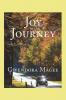 Joy in the Journey