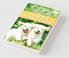 The Complete Guide to Golden Retrievers