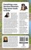 The Complete Guide to Bernese Mountain Dogs