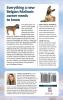 The Complete Guide to the Belgian Malinois