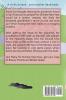 Breezy Friends and Bodies: A Raina Sun Mystery (Large Print Edition): A Chinese Cozy Mystery: 3