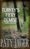 Turkey's Fiery Demise: Gabriel Hawke Novel: 6