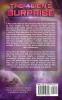The Alien's Surprise: 3 (Alien Warrior Mates II)