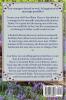 Darcy's Unwanted Bride Large Print Edition: A Pride & Prejudice Novel Variation