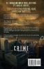 Daughters and Sons: A C.T. Ferguson Crime Novel: 5 (The C.T. Ferguson Mysteries)