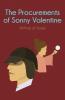 The Procurements of Sonny Valentine: All Kinds of Stories (Detective Theo & Doctor Valentico)
